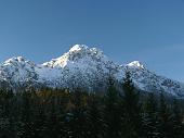 Alben e bosco innevati